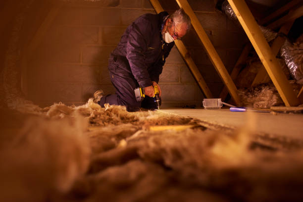 Best DIY Insulation Kits and Guidance in Winfield, TN